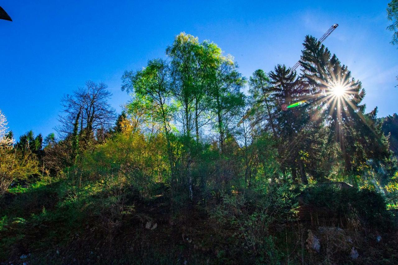 La Mansarda Di Emma Lägenhet Pinzolo Exteriör bild